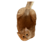 878771749