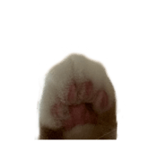 878771750
