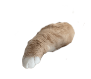 878771751