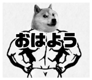 878772548