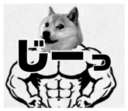 878772557