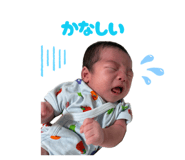 878775093