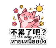 878776816