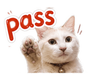 878777185