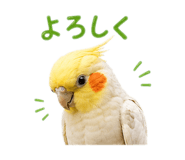 878779035