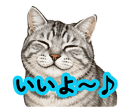 878782144
