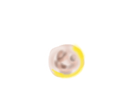 878783555