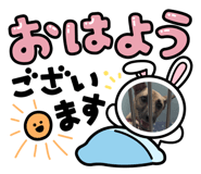 878786563