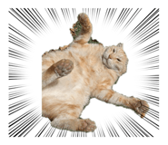 878786681