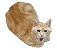 878786699