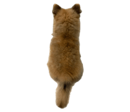 878786902