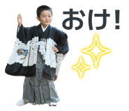 878787381