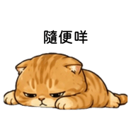 878795049