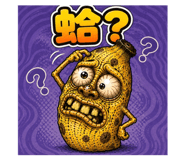 878797955