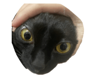 878799187