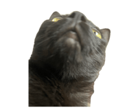 878799191