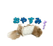 878802362