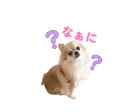 878802363