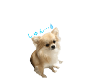 878802366
