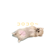 878802369