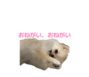 878802370
