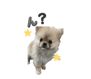878802371