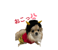 878802374