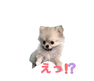 878802375