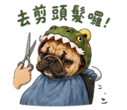 878804326