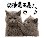 878830513