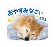 878833500