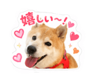 878833501