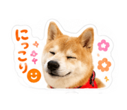 878833506
