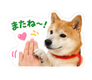 878833508