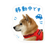 878833513