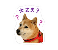 878833519