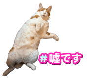 878834462