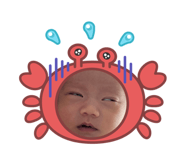 878835250