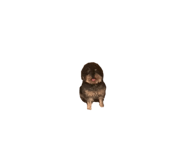878837062