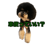 878837067