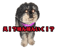 878837069