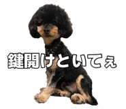 878837075