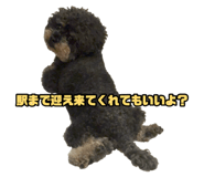878837081