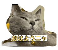 878838079