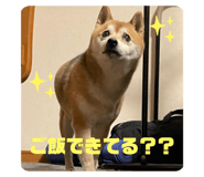 878838484