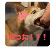 878838490