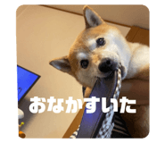 878838491