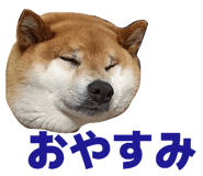 878839242