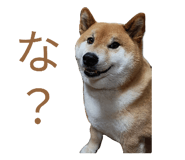 878839244