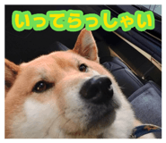 878839246